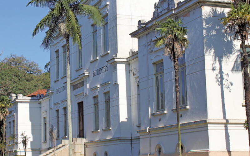 Butantã